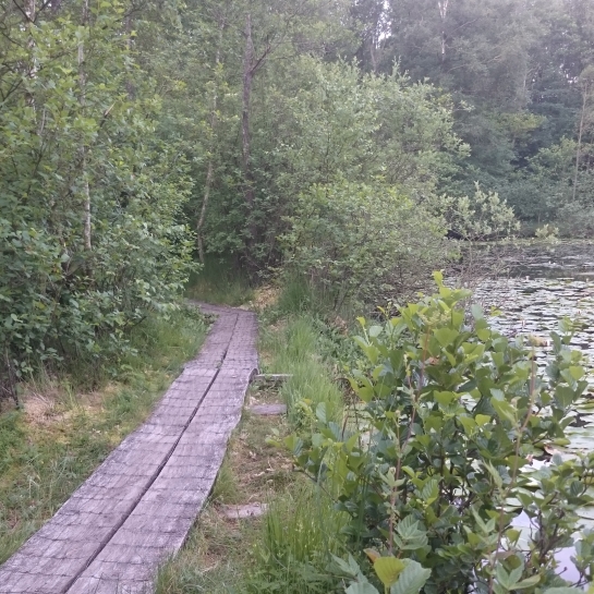 Foto: Fredskovhytten.dk